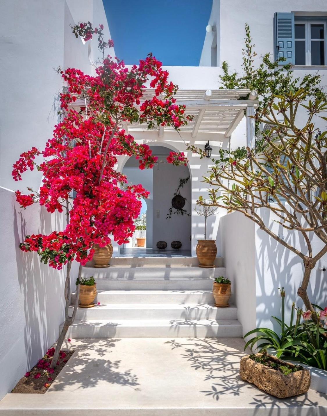 Anita Rooms & Suites Milos Adamantas  Exteriér fotografie