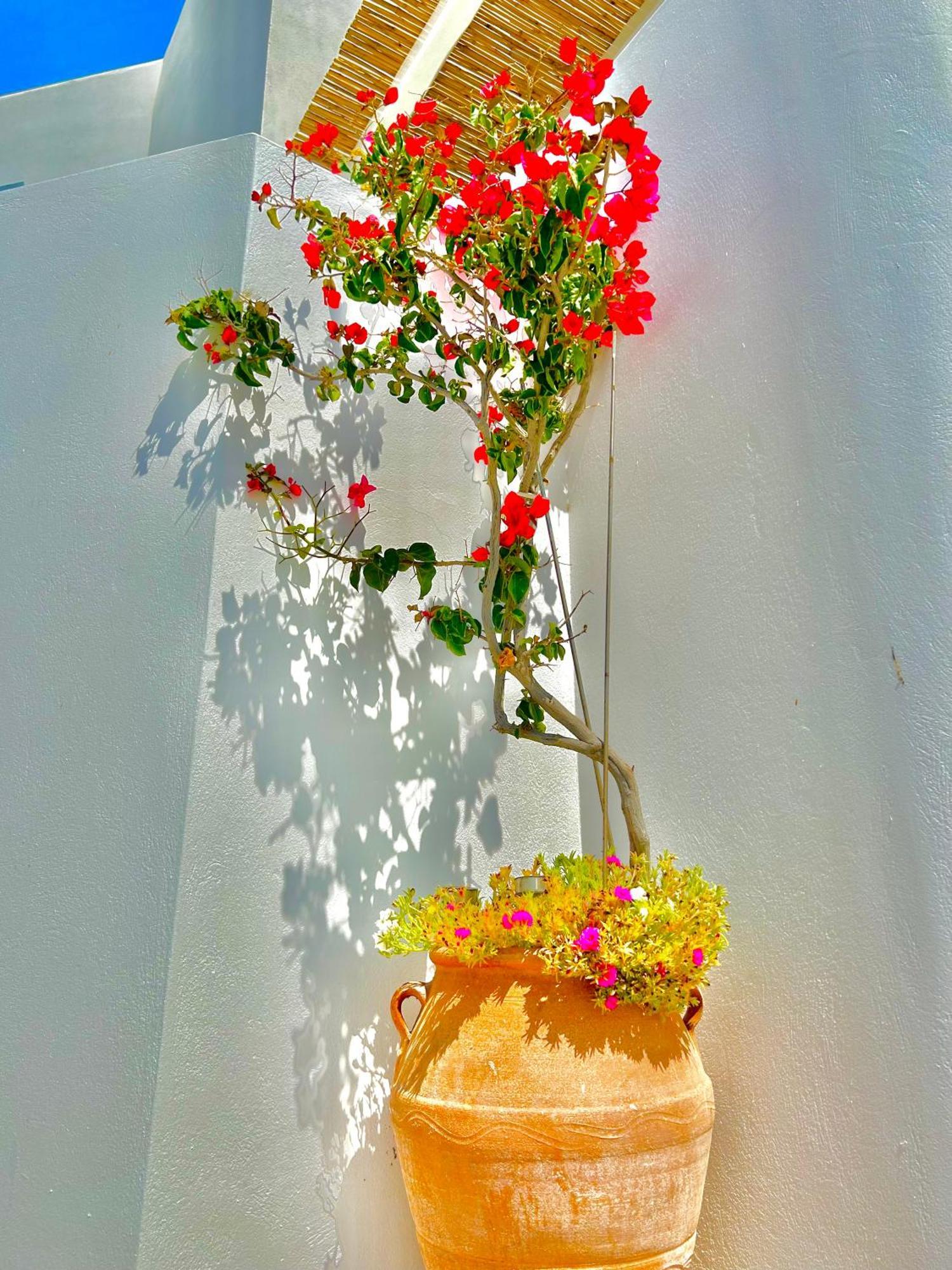 Anita Rooms & Suites Milos Adamantas  Exteriér fotografie