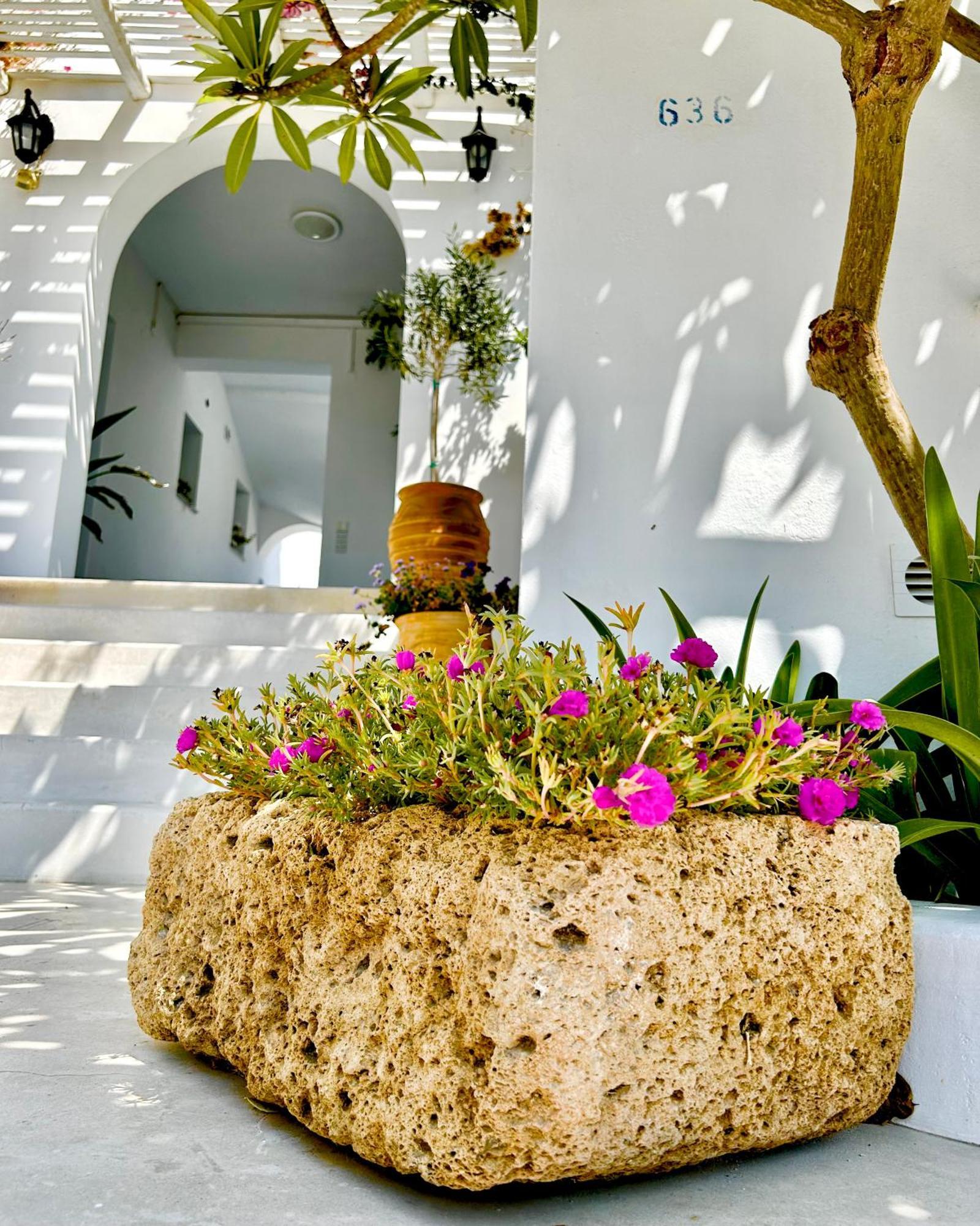 Anita Rooms & Suites Milos Adamantas  Exteriér fotografie