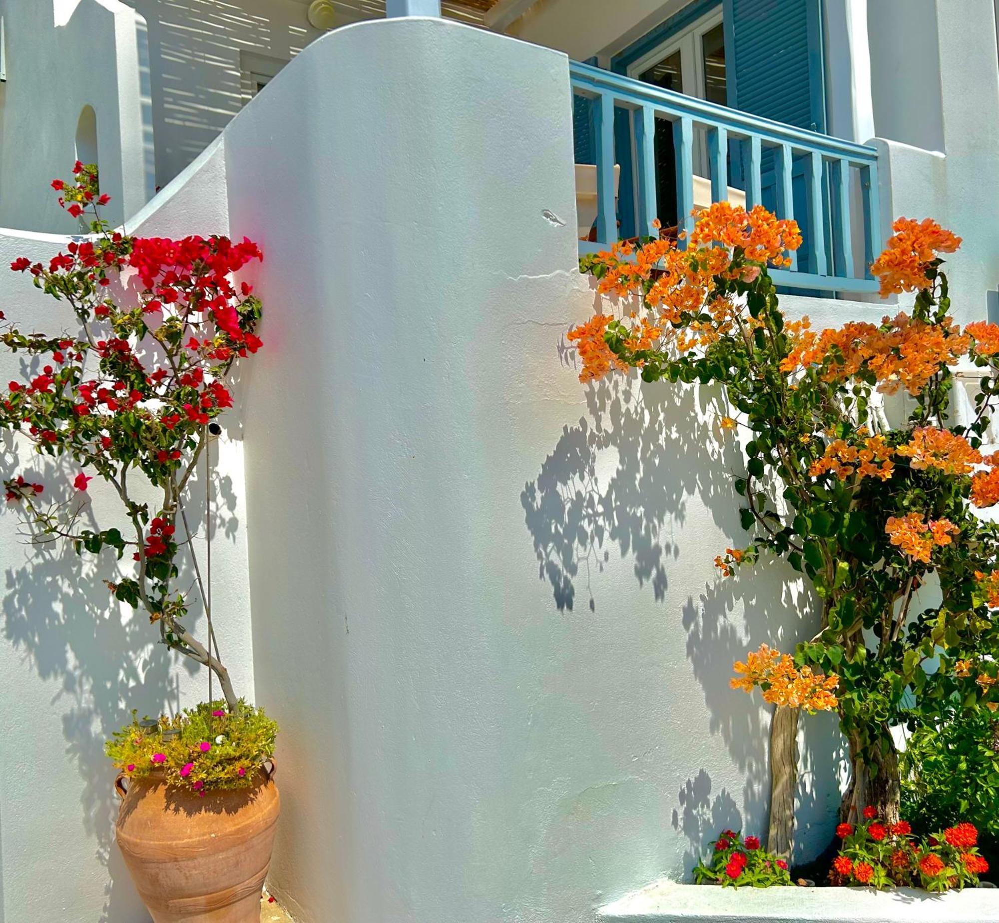 Anita Rooms & Suites Milos Adamantas  Exteriér fotografie